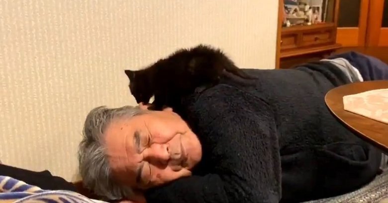 子猫はお父さんの体を自由に上り下り