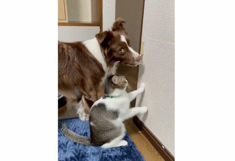 まさかきみたち…？（提供：ゆに＆メッシさん）