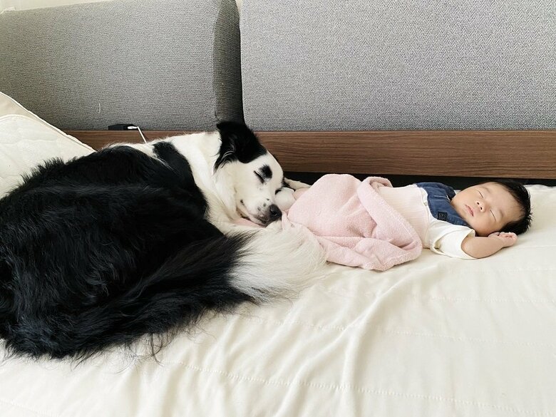 気づくと隣で寝ているという