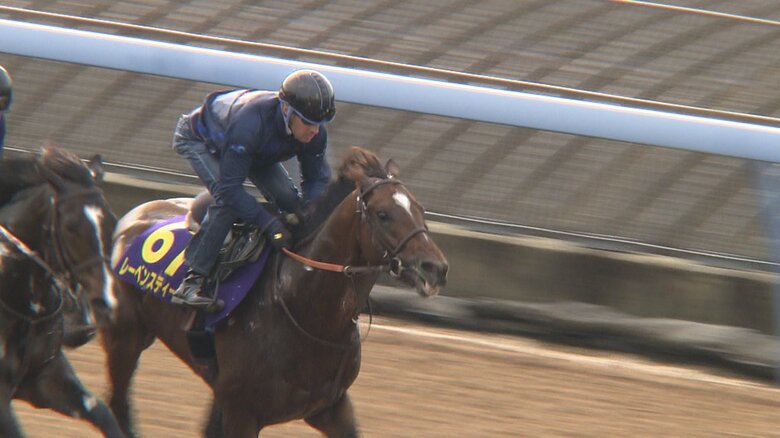 最終追い切りを行うレーベンスティール