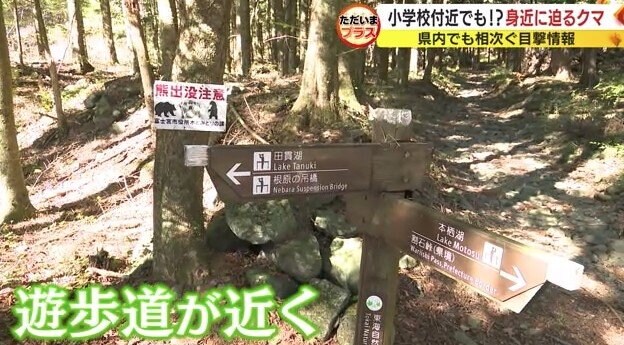 遊歩道とクマ注意の看板