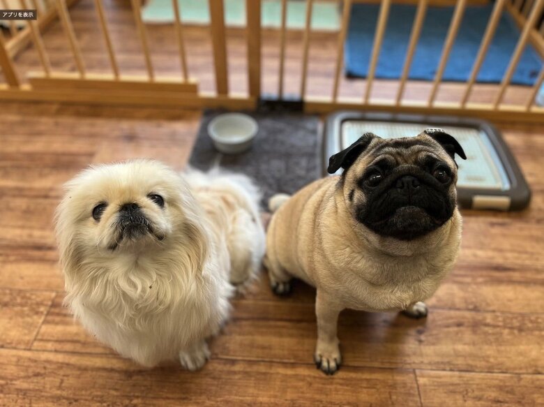 提供：よこむすびさん