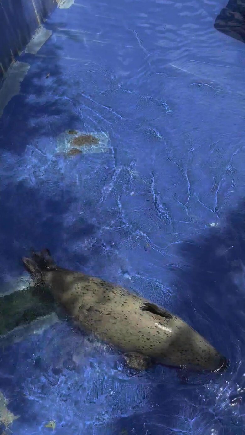 （提供：名古屋市東山動植物園）