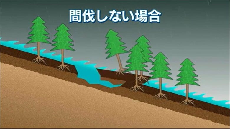 土砂崩れが起きる