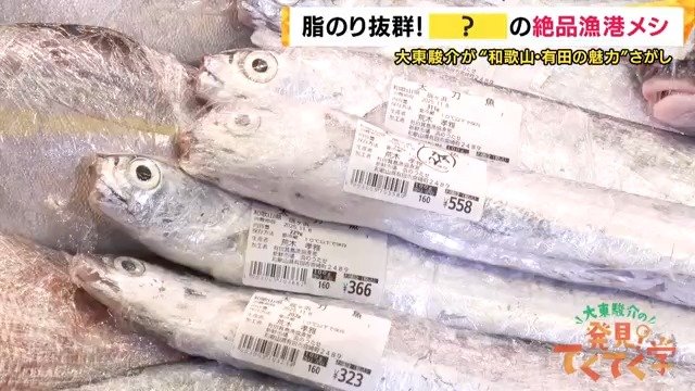 箕島漁港の太刀魚