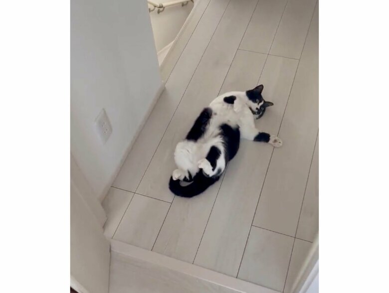 提供：卵山玉子先生