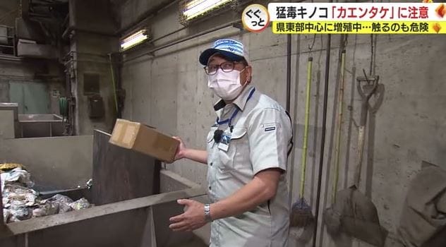 駆除したら直接 焼却炉に搬入