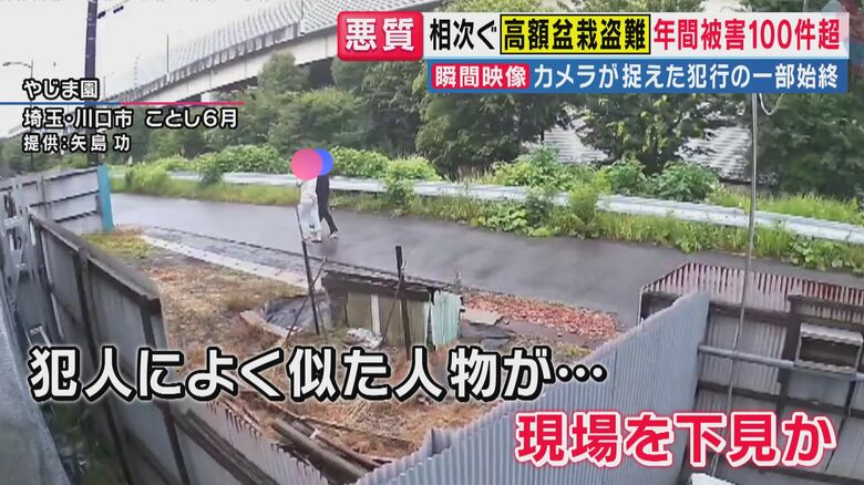 事前に“下見”か（関西テレビ「旬感LIVE とれたてっ！」より）