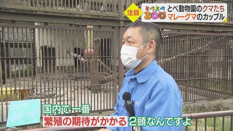 2頭の相性は「非常にいい」という