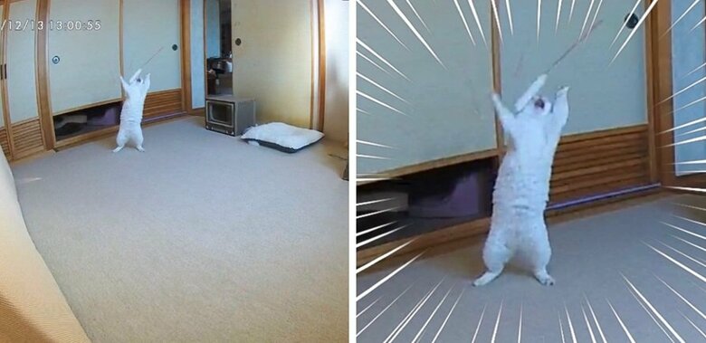 2021年の投稿。この時もアクティブなぷるちゃん