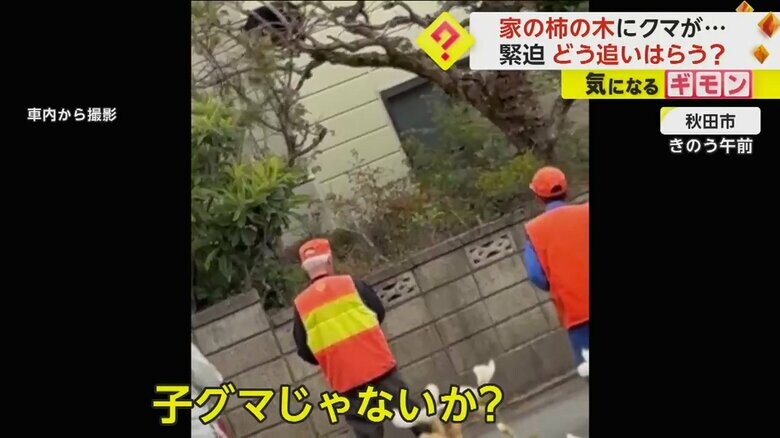 秋田市の住宅にクマが出没し、警戒する猟友会の人たち