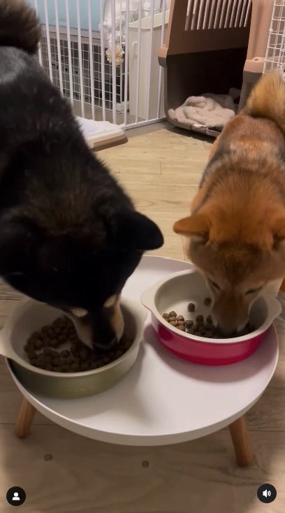 提供：まめふく&ゆめくりさん