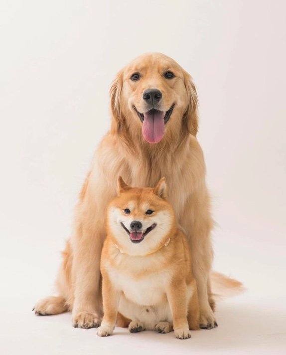 提供：うにandおからさん