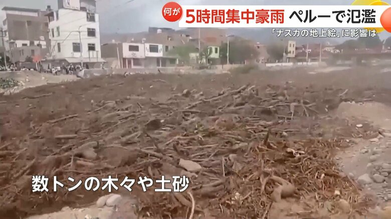 ペルー・ナスカ県で氾濫した川を“赤い木々”が埋め尽くした