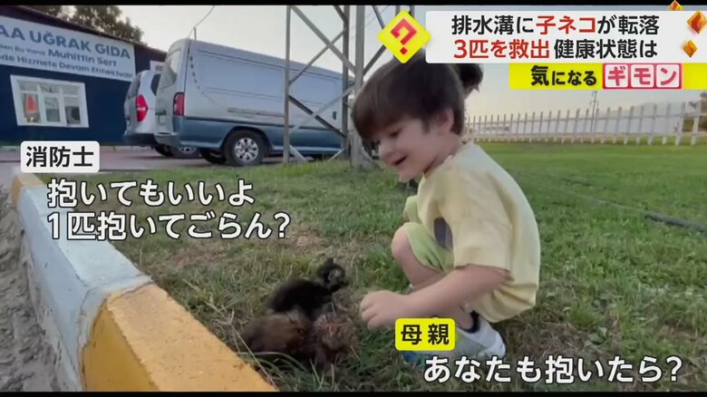 「あなたも抱いたら？」と子どもに声をかける母親