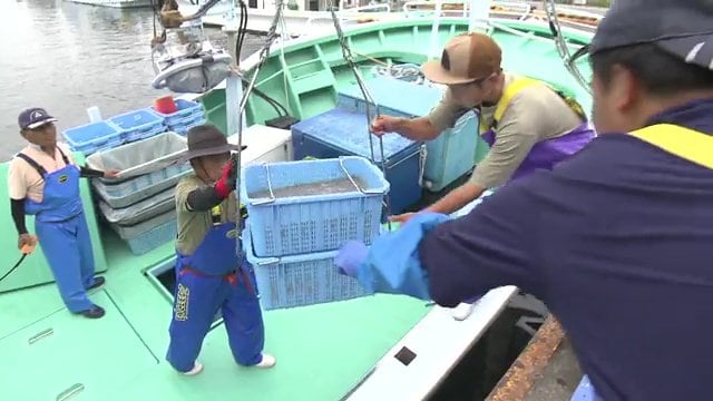シラスが水揚げされた真野川漁港（福島県南相馬市）
