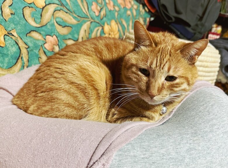 ビワくん（提供：サユヤスさん）