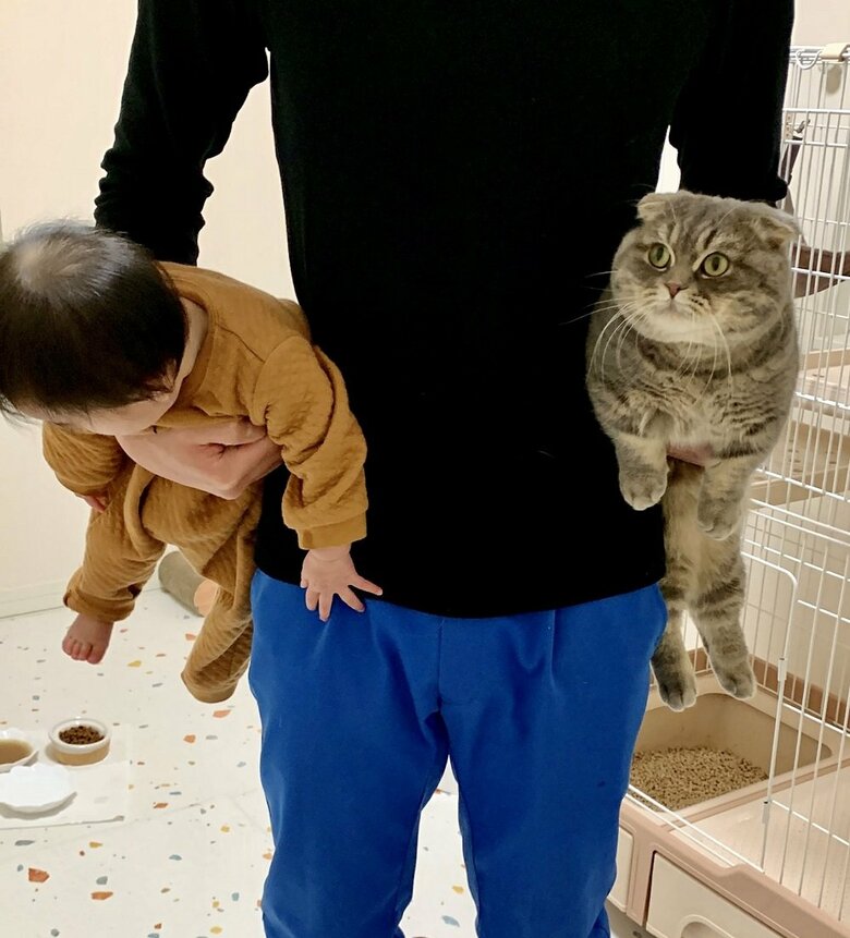 お父さんに捕まった娘さんとたこやきくん