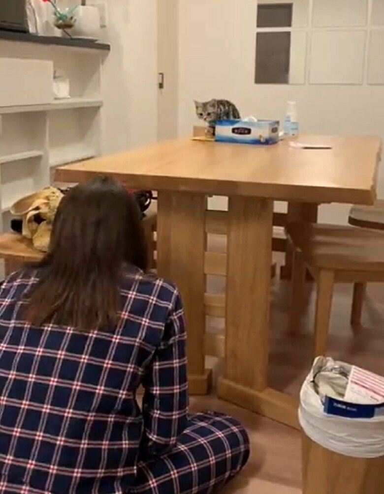 飼い主さんが隠れると、あんこくんが動き出す