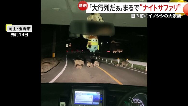 「えーすごいすごい」と驚きの声をあげた撮影者