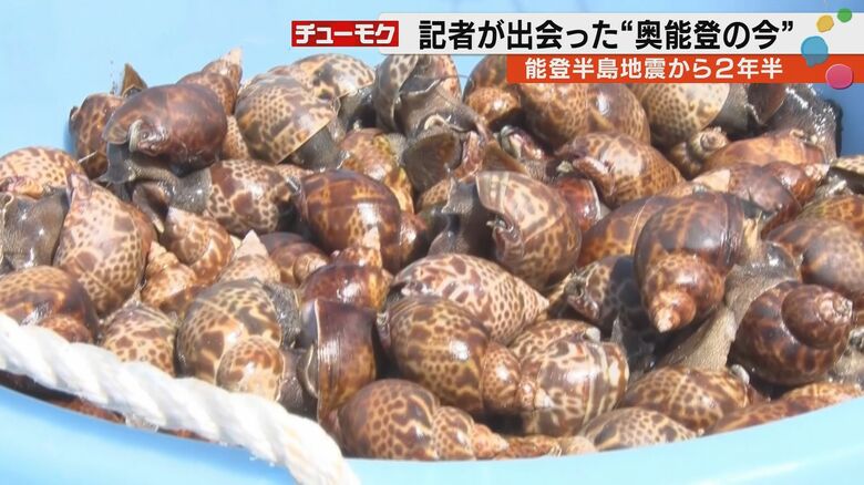 奥野さんが取ったアズキガイ