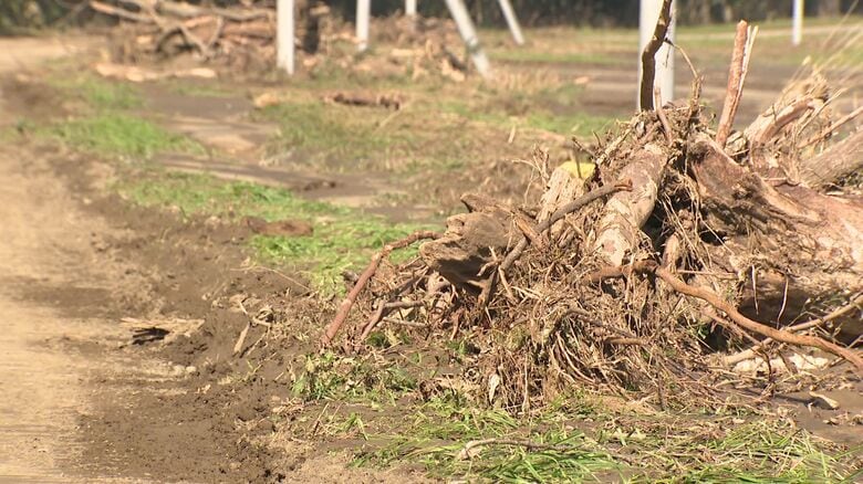 各地に大雨の爪痕