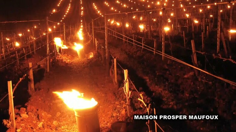 火鉢を置くなどして対応したが打撃は避けられなかった