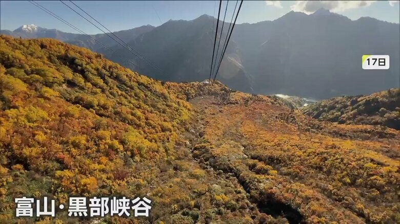 黄色や赤に木々が色づきはじめた、富山県の黒部峡谷