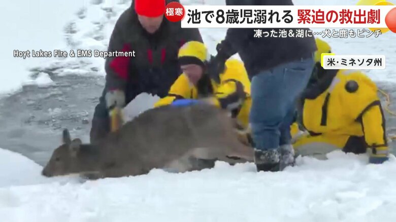 凍結した湖から救助されたシカ