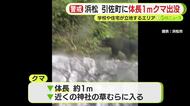 体長1ｍほどのクマ出没…警察や猟友会がパトロール　周辺の小学校では下校は保護者が迎えに