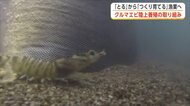「とる」から「育てる漁業」で活路　高級食材で所得向上へ　クルマエビ陸上養殖にかける挑戦　秋田・男鹿市
