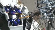 カラスが巣作りする春…停電に注意　電柱に見つけたら「電柱番号」と写真で通報を　北陸電力送配電が呼びかけ