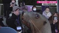 「桂浜水族館」が2年連続で全国人気1位に　SNSでも話題…枠にとらわれない改革で復活【高知発】