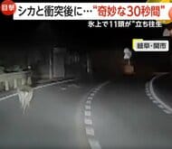 突然飛び出すシカとの“奇妙な30秒”　ロシアではポツンと“大の字”…氷上で立てなくなったシカ“続出”で救助活動