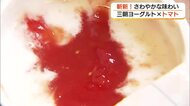 「三朝ヨーグルト」今年の新商品は“大原トマト”使用　甘みと酸味で新感覚　温泉街の新名物に（鳥取）