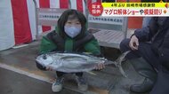 「大赤字でやばい」マグロが定価の3分の1で飛ぶように売れる！模擬競りに大勢の人　4年ぶりの熊本・田崎市場感謝祭