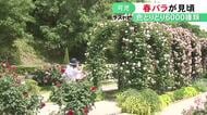 6000種類ほど植えられる…ぎふワールド・ローズガーデンで色とりどりのバラの花が見頃 6/7までは早朝開放も