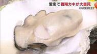 「カキ大量死」は愛媛・愛南町でも　養殖カキは広島から仕入れも原因不明　県も実態調査へ【愛媛発】