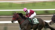 【北九州記念・GⅢ】フリッカージャブが重賞初制覇！松山弘平騎手今年重賞4勝目！