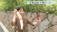 地球にも家計にも優しい「ポイ活」知ってる？　身近な省エネ行動でポイントが貯まる！　広島県がスタート