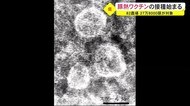 豚熱を防げ! 秋田県が養豚場のブタにワクチン接種を開始