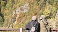 日常が...全国各地で“秋の気配” 「宣言」解除 2度目の週末