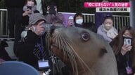 「桂浜水族館」が2年連続で全国人気1位に　SNSでも話題…枠にとらわれない改革で復活【高知発】