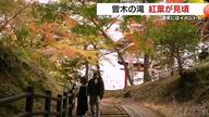 紅葉の名所　伊佐市の曽木の滝で紅葉が見頃　週末にはイベントも　鹿児島