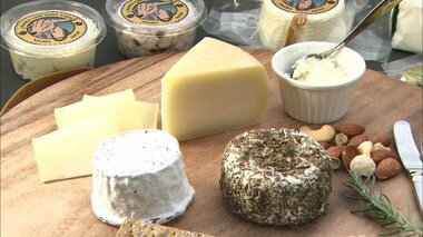 濃厚でなめらか…ハワイ仕込み「ヤギのチーズ」 夢実現した牧場経営の女性「町の名を広めたい」【長野発】