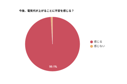 約99％が電気代の上昇に「不安を感じる」と回答｜電気代への意識調査