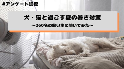 犬・猫と過ごす夏、エアコンは常につけておく？260名の飼い主にアンケート調査を実施