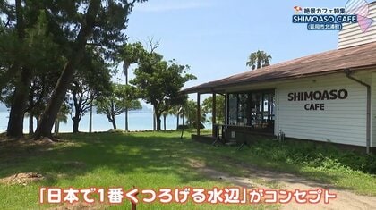 自然に癒やされる絶景カフェ2選！目の前にビーチがあるドッグカフェと、森に溶け込む隠れ家レストラン