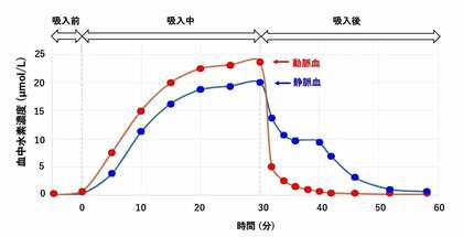 ラット組織内水素濃度の定量解析：低濃度水素吸入でも ・OH 消去に十分な水素分子供給｜MiZ ほか共同研究