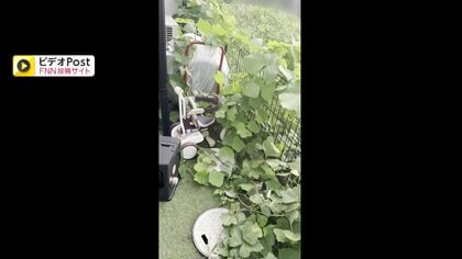 【悲痛】給湯器の内部まで…新築ホームに空き地から大量の草が侵食　“空き地の雑草トラブル”年に数千件相談も対処困難の現実